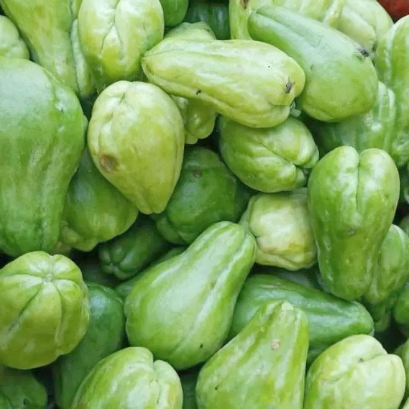 

LABU SIEM 1 KG, labu sayur murah langsung dari petani d jamin fresh jaminan aman sampai tujuan