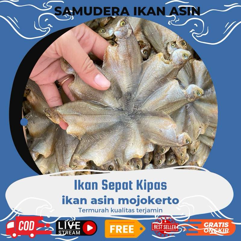 

500gr ikan Sepat Siam kalimantan ikan betok kipas Kering Lokal Tahan Lama, Murah & Kualitas Tinggi