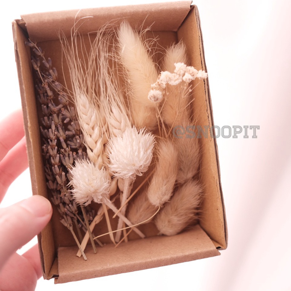 

Praktis Dried flower prakarya kerajinan tangan scrapbook DIY hiasan kartu dekorasi craft gift birthday