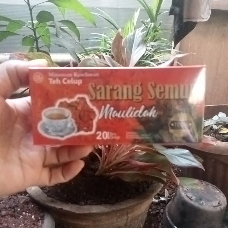 

Teh Celup Akar Bajakah/Teh herbal sarang semut Isi 20 pcs.