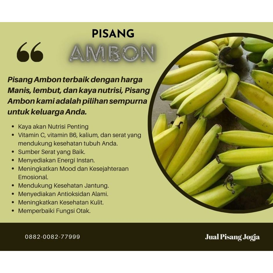 

Pisang Ambon Pisang Raja Pisang Kepok Segar Alami Manis Kaya vitamin C B6 kalium serat utk kesehatan