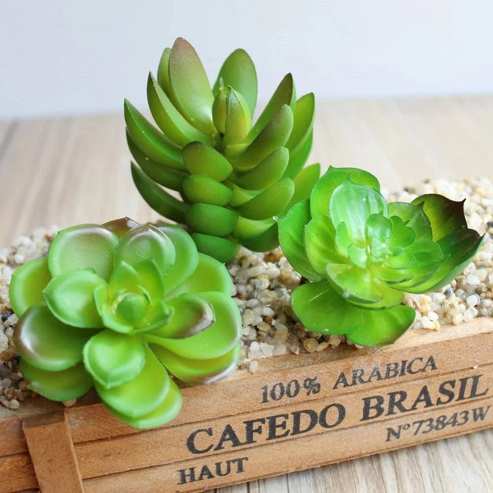 Kaktus Sukulen Plastik Latex Tebal Ukuran Sedang - Kaktus Palsu Artificial - Tanaman Kaktus Hias