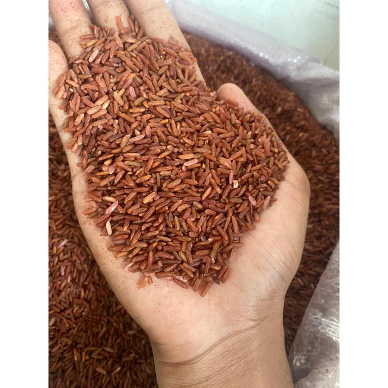 

Terlaris! BERAS MERAH SUPER