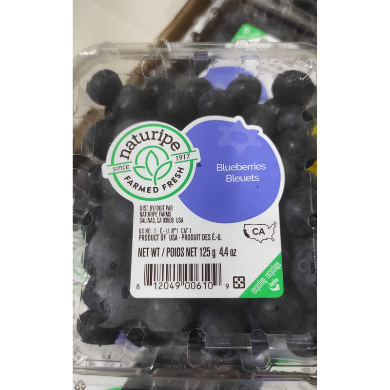 

Blueberry / Buah Bluberries USA 1 Dus (12 Pack) Freh Import