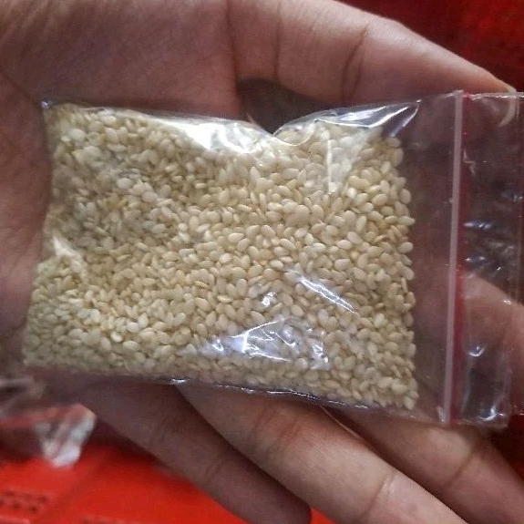 

Biji Wijen 20 gr - Sayur Segar Instan Malang