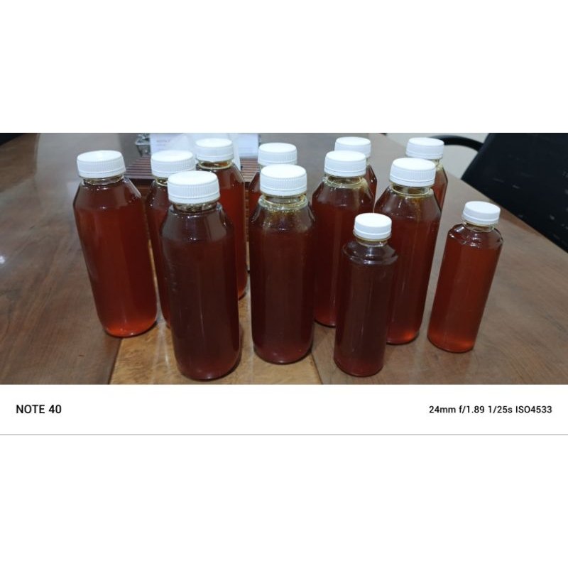 

madu odeng, madu hutan asli