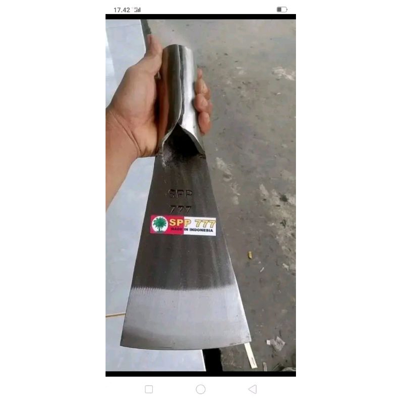 Dodos sawit spp777 yg 12 cm