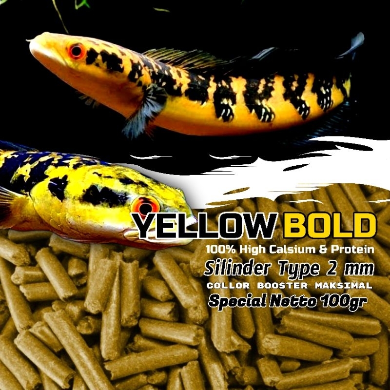 Pelet Yellow BOLD 100gr Pelet Channa Yellow Original GFS