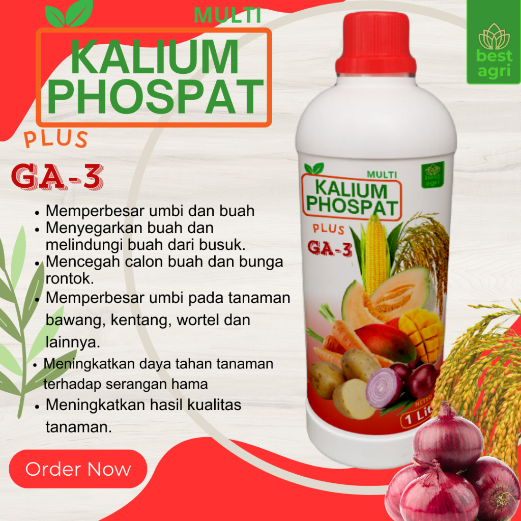 Kalium Phospat 1 Liter Pupuk Pembuahan Plus GA3 untuk Bawang Merah