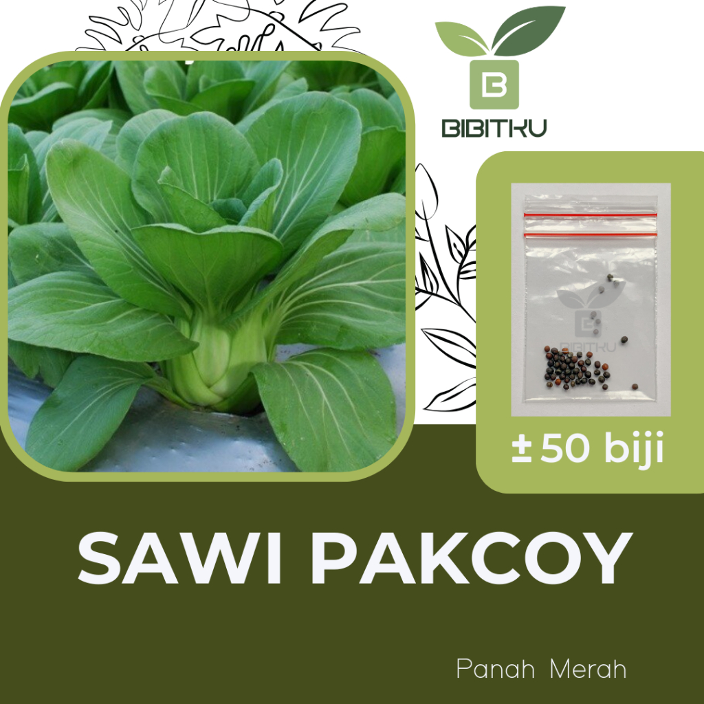 Benih Sawi Pakcoy Pokcoy Nauli F1