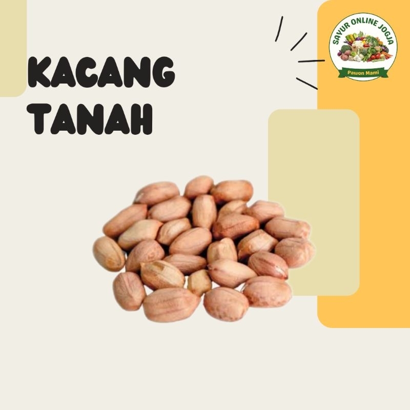 

Kacang tanah - PAWON MAMI SAYUR ONLINE JOGJA