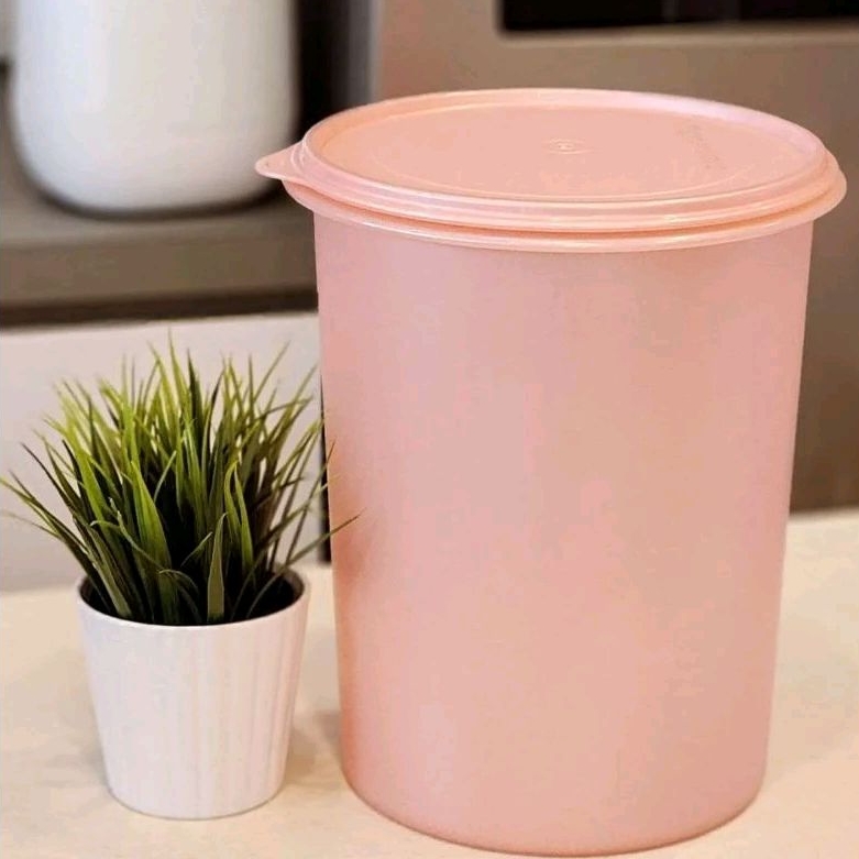 Giant Canister/  Tall Canister Tupperware