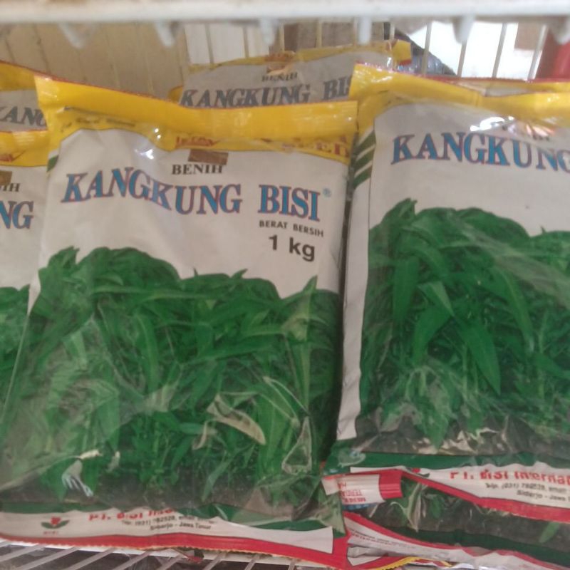 kangkung bisi