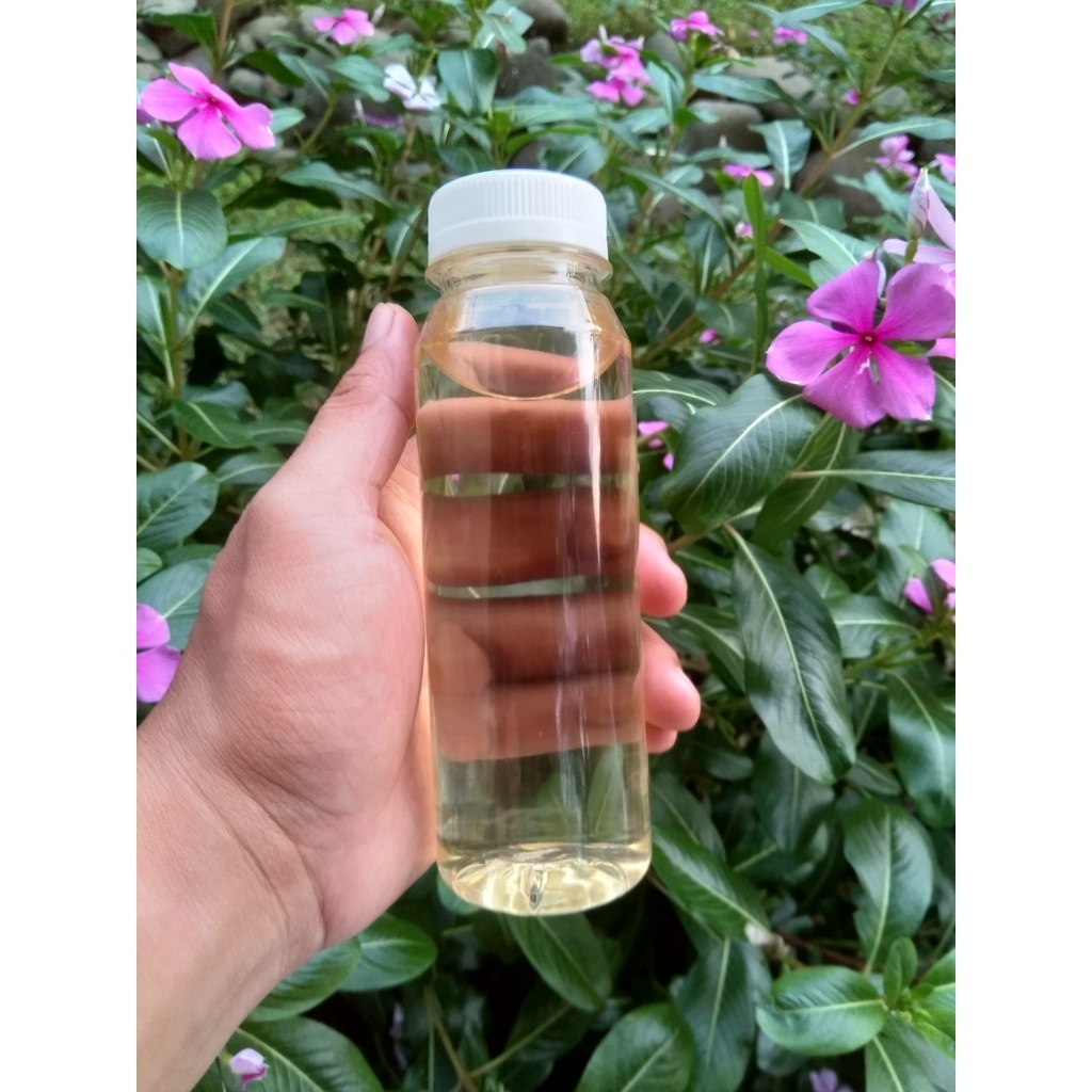 

COD Minyak Kelapa Asli 100% Murni Klentik 250 ml /Kelentik/Keletik/Lentik/Leutik/Letik