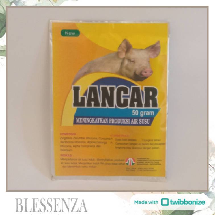 LANCAR BABI PIG POWDER 50GR - JAMU LANCAR ASI BABI MENINGKATKAN JUMLAH ASI INDUKAN BABI