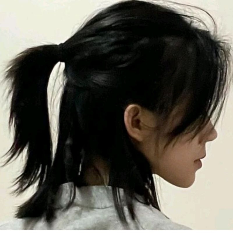 Wig Pria Tampan Rambut Panjang Warna Hitam Gaya Rambut Ekor Srigala Dengan Poni Model Cowok Korea ko