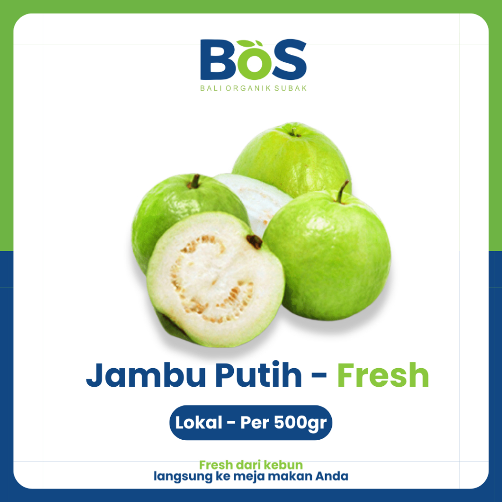 

Buah Jambu Putih 500gr - Bos Fresh