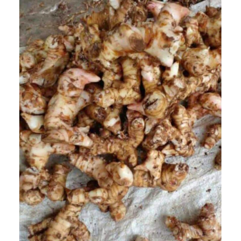 

LAOS BUMBU 500 GRAM 8000 RB