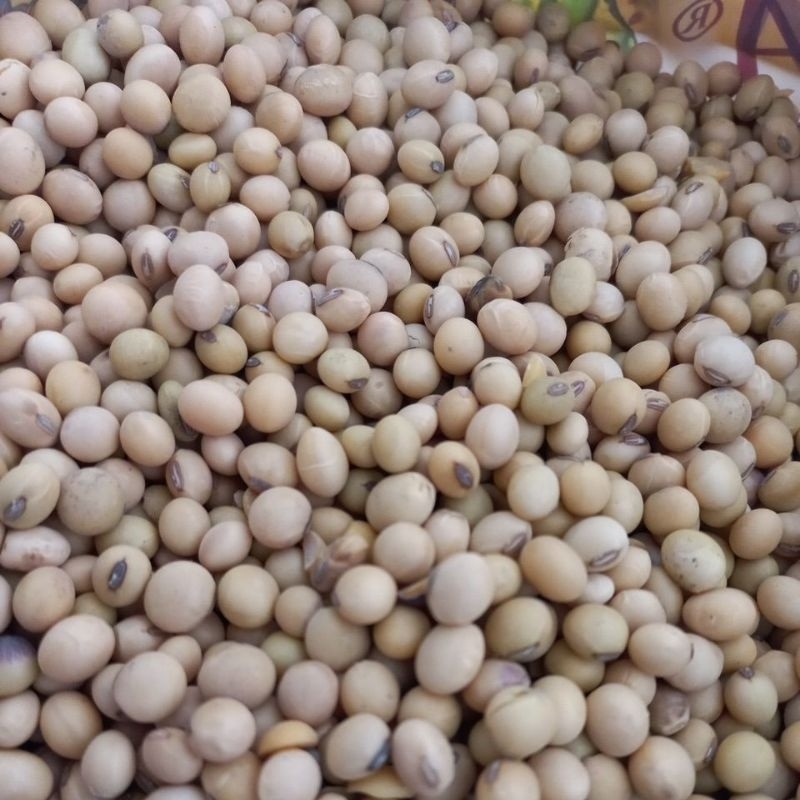 

Kacang Kedelai Mentah 100g