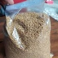 

TERMURAH BIJI KLABET/KELABAT/ABESH 100 GRAM