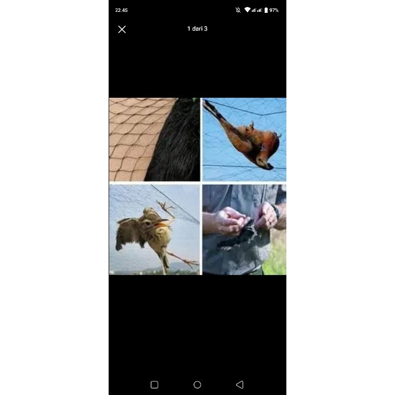 JARING BURUNG /Jaring pikat free tali / jaring hitam 0,12