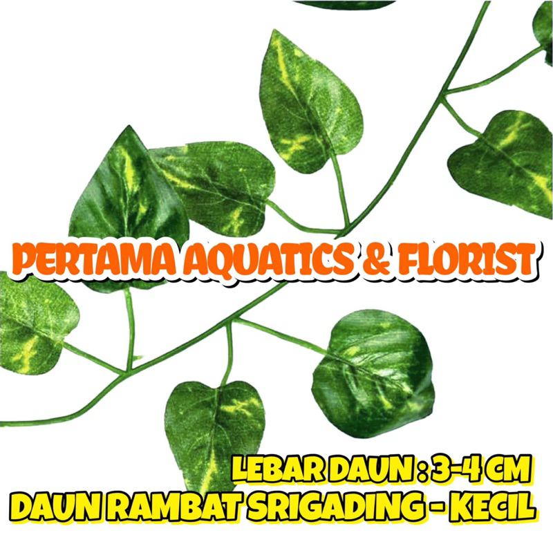 HARGA SATUAN RAMBAT KECIL 1 METER ATAU 2 METER/ Daun Rambat Imitasi/ Daun Imitasi/ Hiasan Imitasi/ D