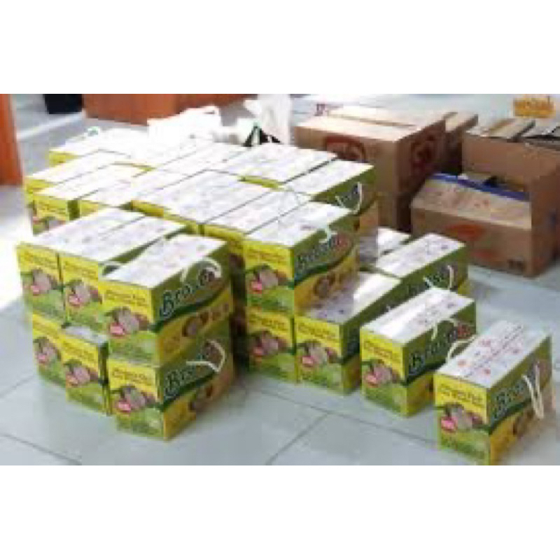 sari buah apel segar