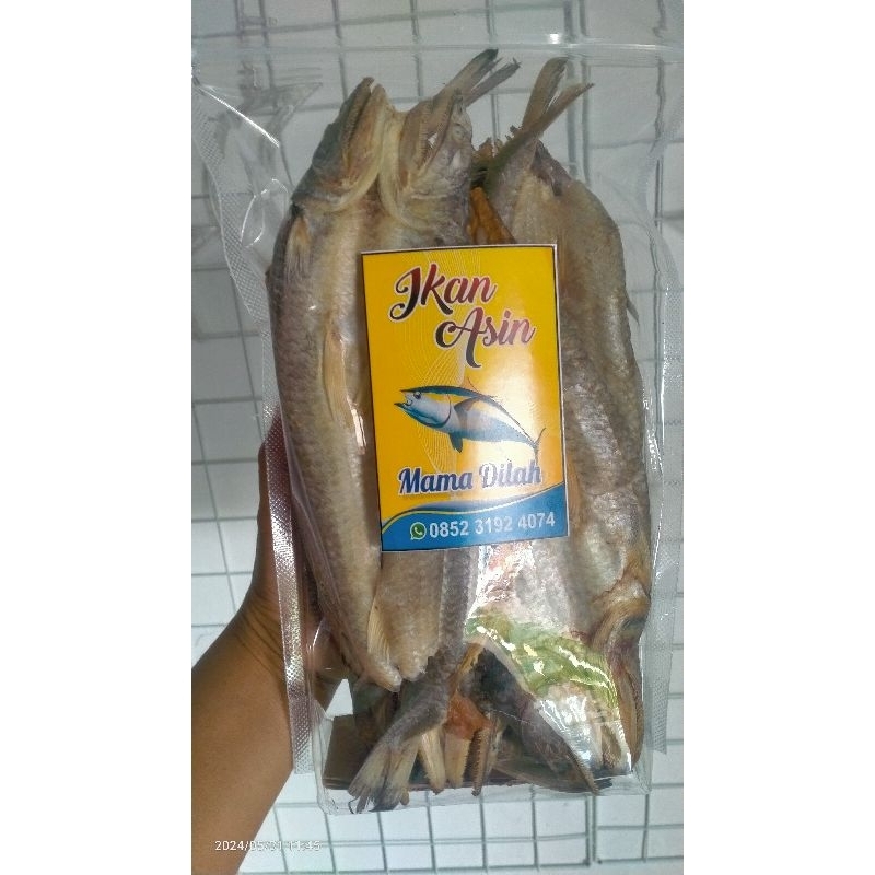 

Ikan Asin Jenggelek