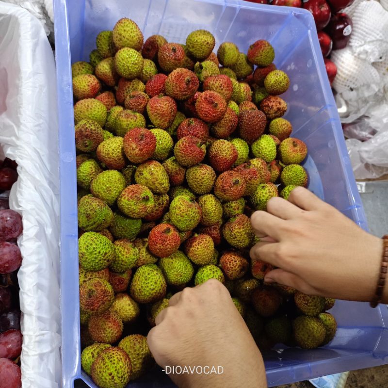 

buah leci harga per 500gr