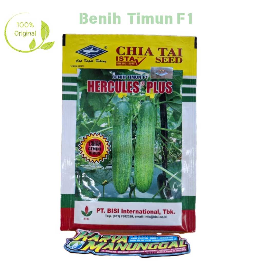 Benih Timun Hercules