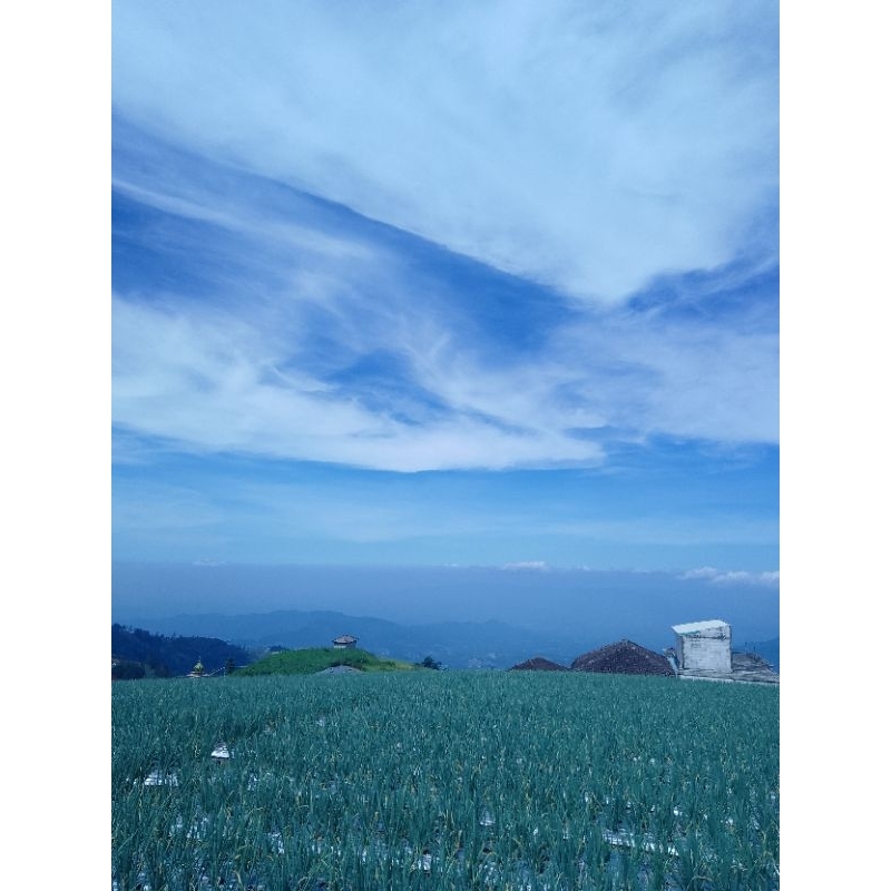 

Udara segar gunung sumbing murahh