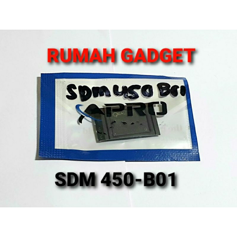 IC CPU SDM 450-B01
