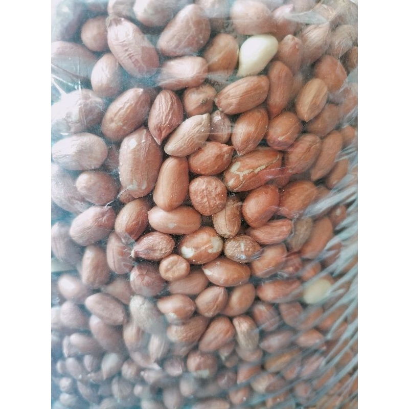 

kacang tanah real pic ready stock