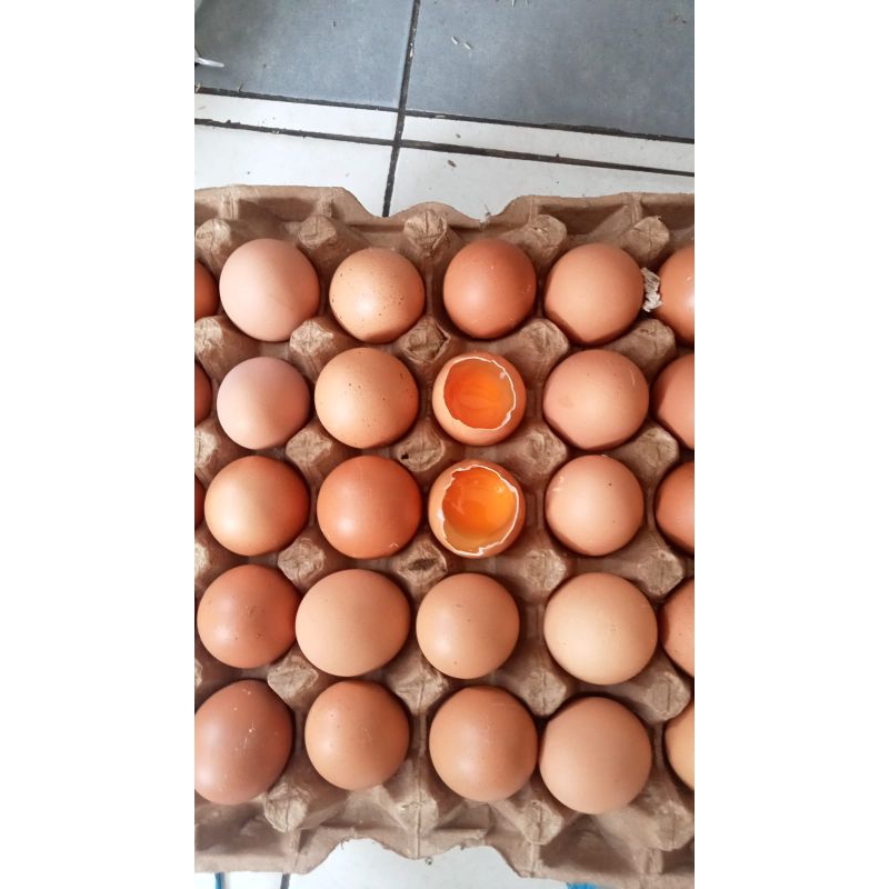 

TELOR NEGERI OMEGA FRESH PER KG