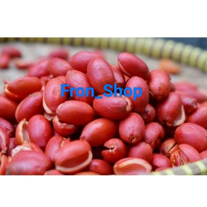

termurah 1kg kulit melinjo segar Presh kulit merah