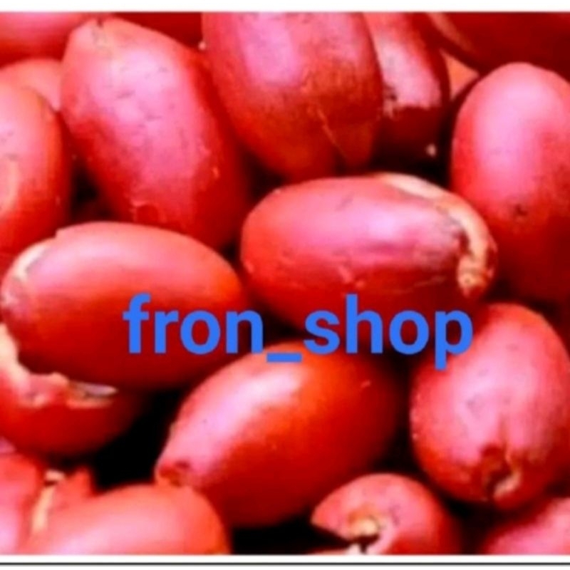 

6kg kulit melinjo segar dan presh termurah (promo)