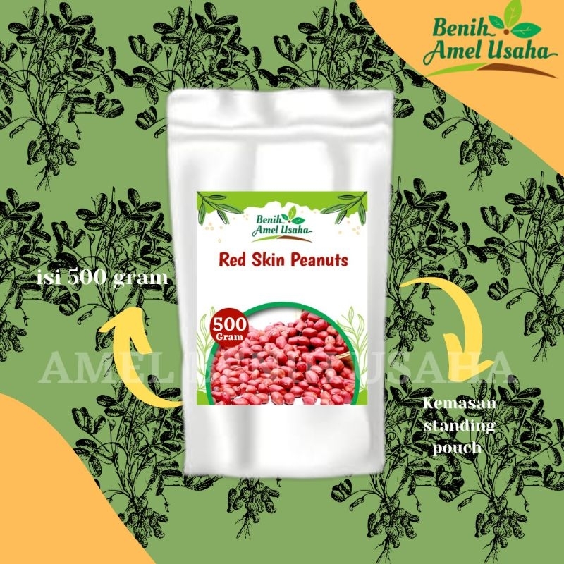 benih kacang tanah merah 500 gram / kacang tanah kulit merah ½ kg kemasan standing pouch/ benih bibi