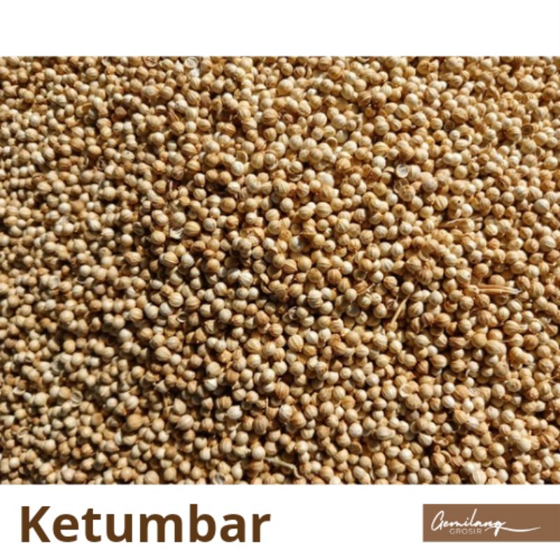 

Ketumbar Putih