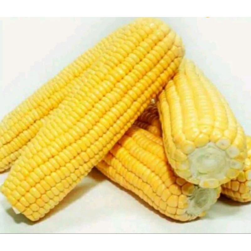 

Jagung manis kupas