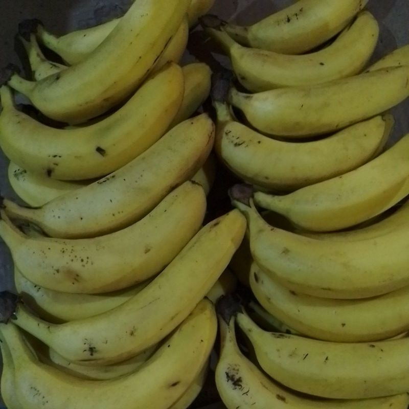 

pisang sanpres 24900