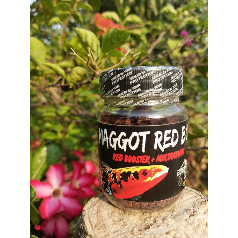 Maggot Red Grade A+ (New Formula) Original By Bos Bos Qu