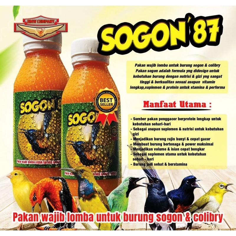 nektar sogon 87 makanan burung sogon minuman burung pleci