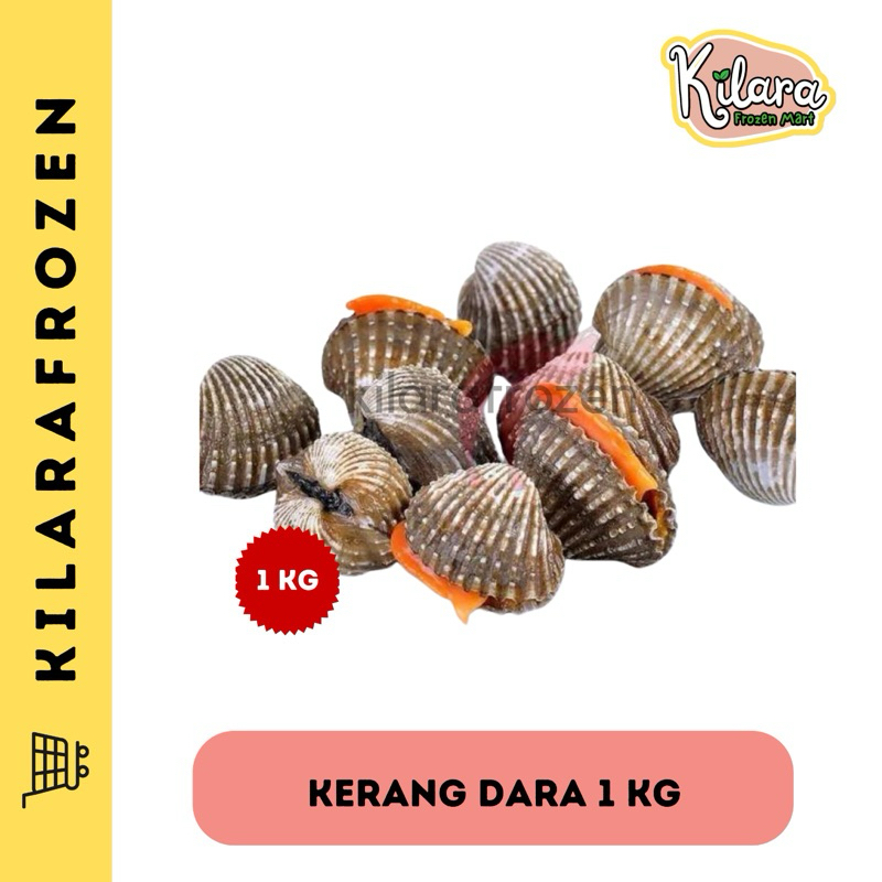 

KERANG DARA SEGAR 1 KG - KILARA FROZEN MART