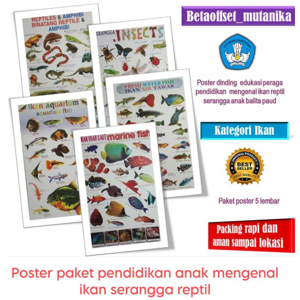 Poster paket pendidikan anak mengenal ikan hias laut air tawar ikan aquarium serangga