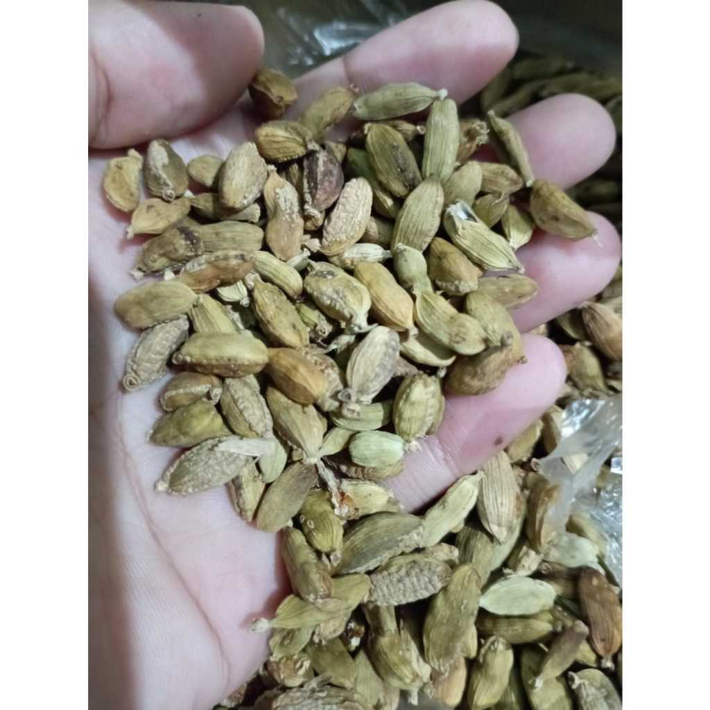 

Kapulaga India hijau arab 50gram