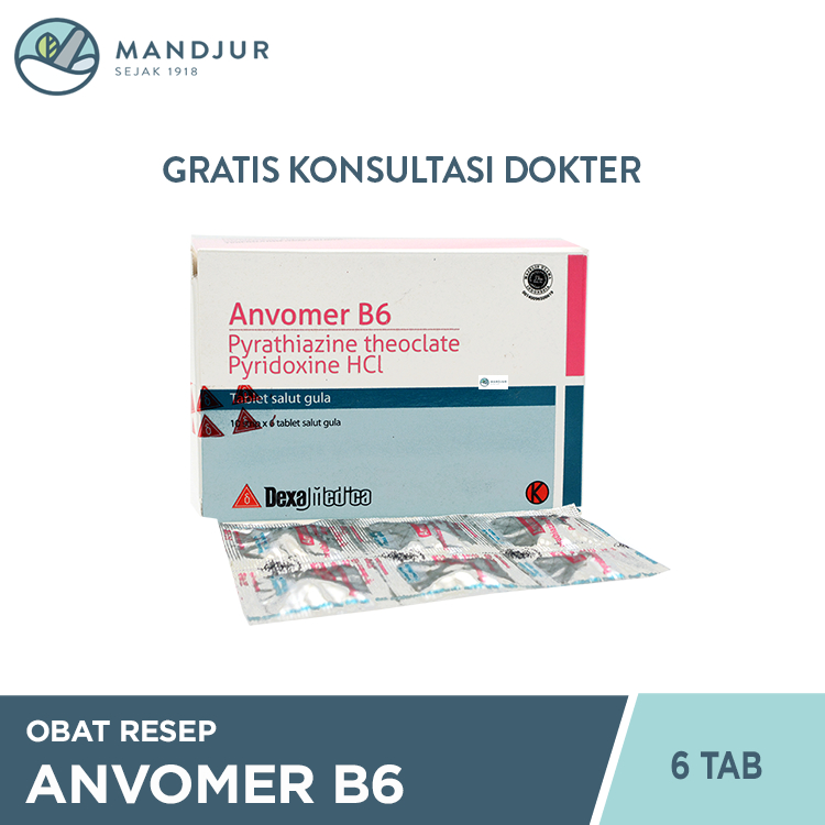 Anvomer B6 6 Tablet