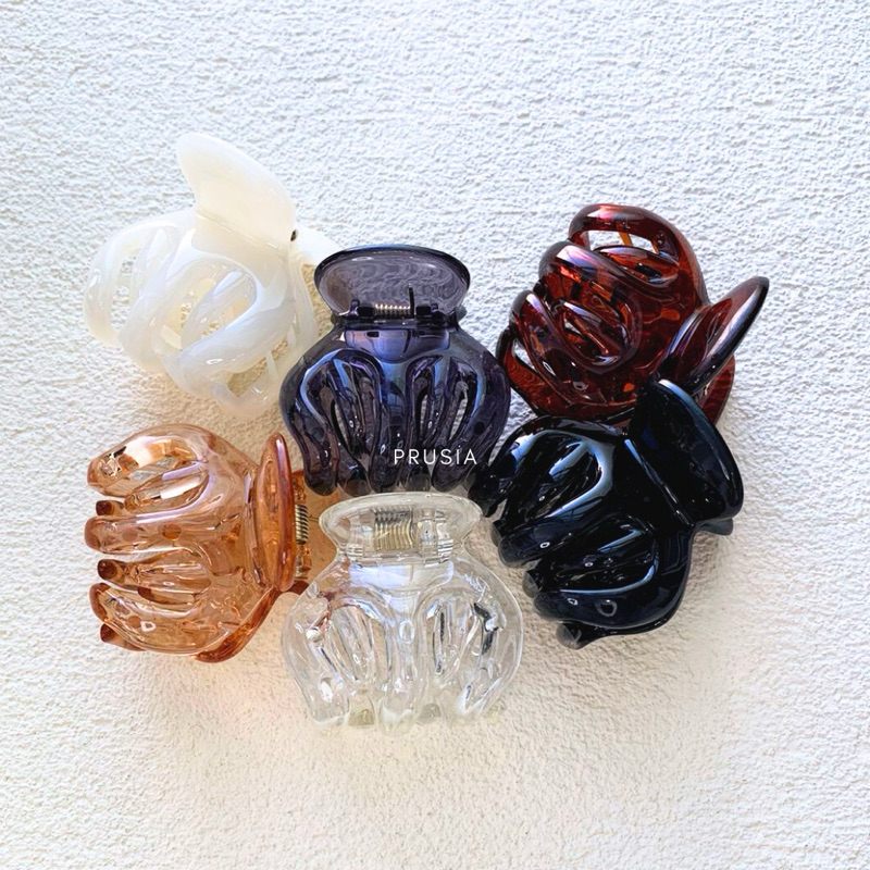 JEDAI RAMBUT | JEPIT RAMBUT BANGKOK | JEPIT RAMBUT KOREA | JEPIT RAMBUT | JEDAI HERCULES ORI ROCHE B