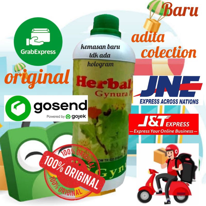 herbal gynura khusus