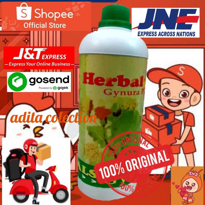 Herbal gynura plus daun dewa