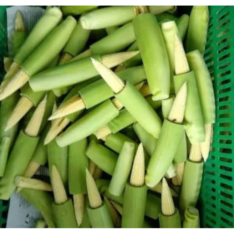 

jagung kecil baby putren 500 gram